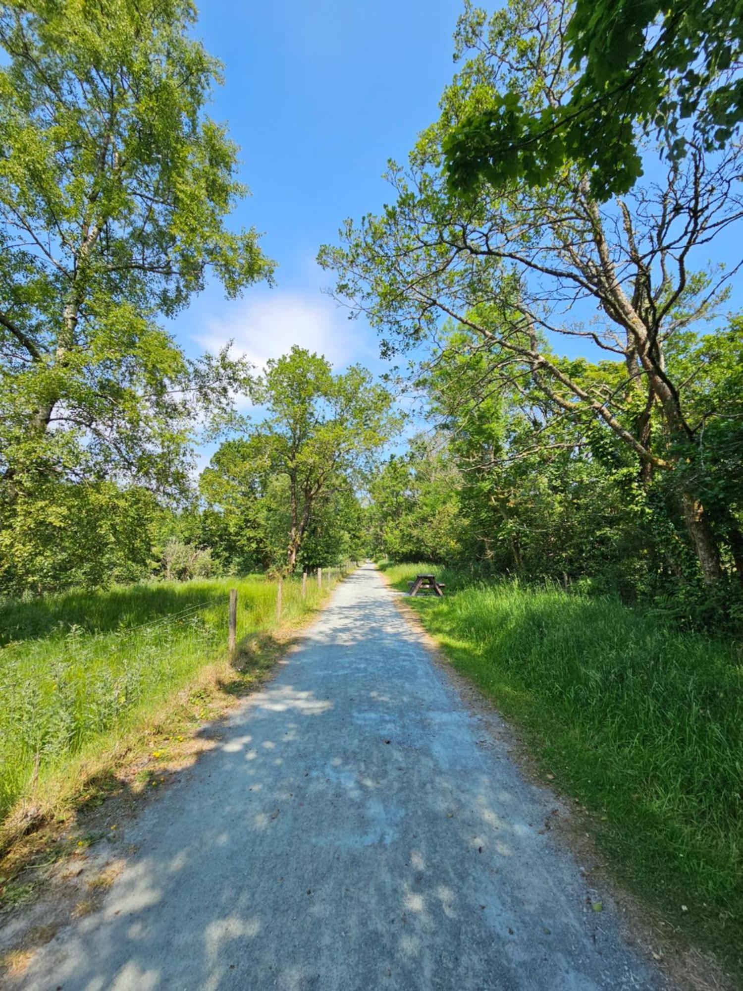 County LeitrimThe Koze公寓 客房 照片